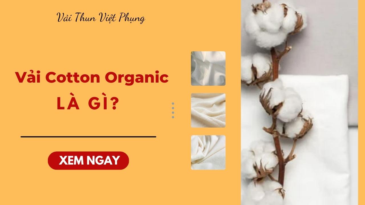 Vai Cotton Organic la gi